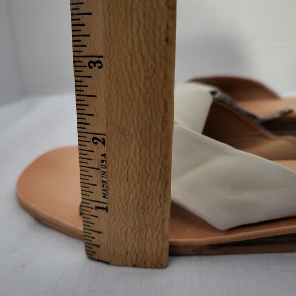Dolce Vita DV Lima Slides Sandals from Buckle Womens Sz 6 Medium Taupe Vegan NWT - Picture 11 of 13